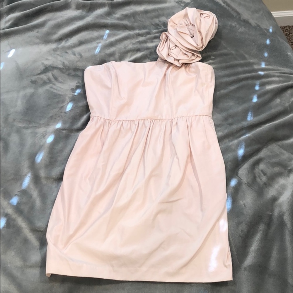 NWOT Pearl by Georgina Chapman Blush Dress